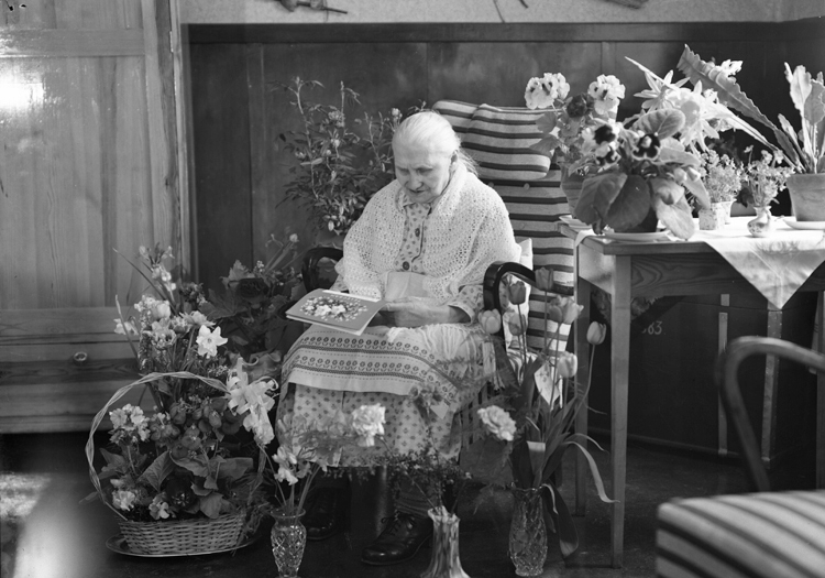 Foto av en okänd äldre kvinna i klänning och sjal. Hon sitter i en gungstol i ett dagrum och läser ett telegram, omgiven av blommor.