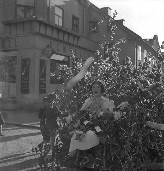 Studenterna andra dagen, 1951.
En kvinnlig student körs hem i lövad kärra längs Västra Esplanaden. I bakgrunden syns Agnvalls elaffär, i hörnet Västra Esplanaden - Storgatan.