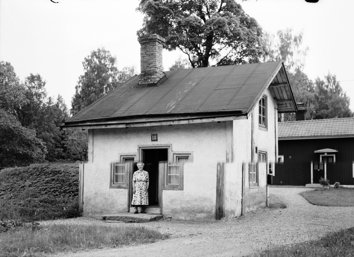Storvik-Hammarby. Kvinna vid sin stuga, nr 18. Den 8 juni 1950