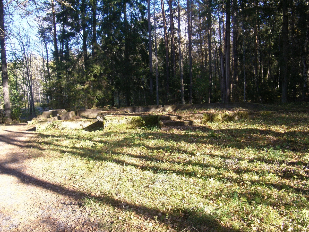 Arkeologisk utredning, sentida husgrund, Rimbo-Tomta, Rimbo socken, Uppland 2015