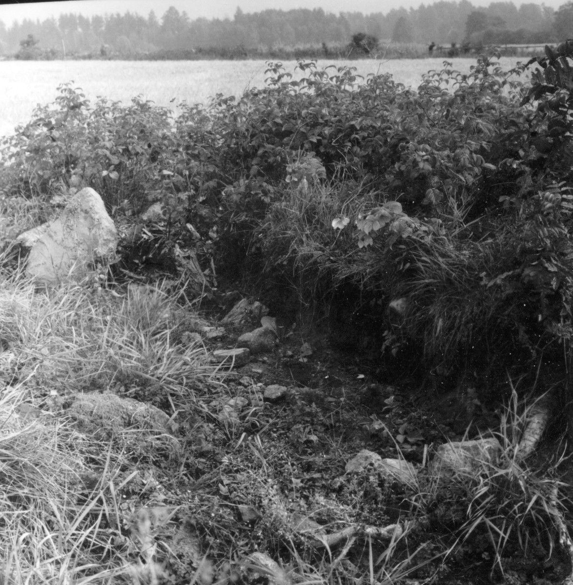 Utgrävningsbilder:
Röse i Ålbo, September 1969.