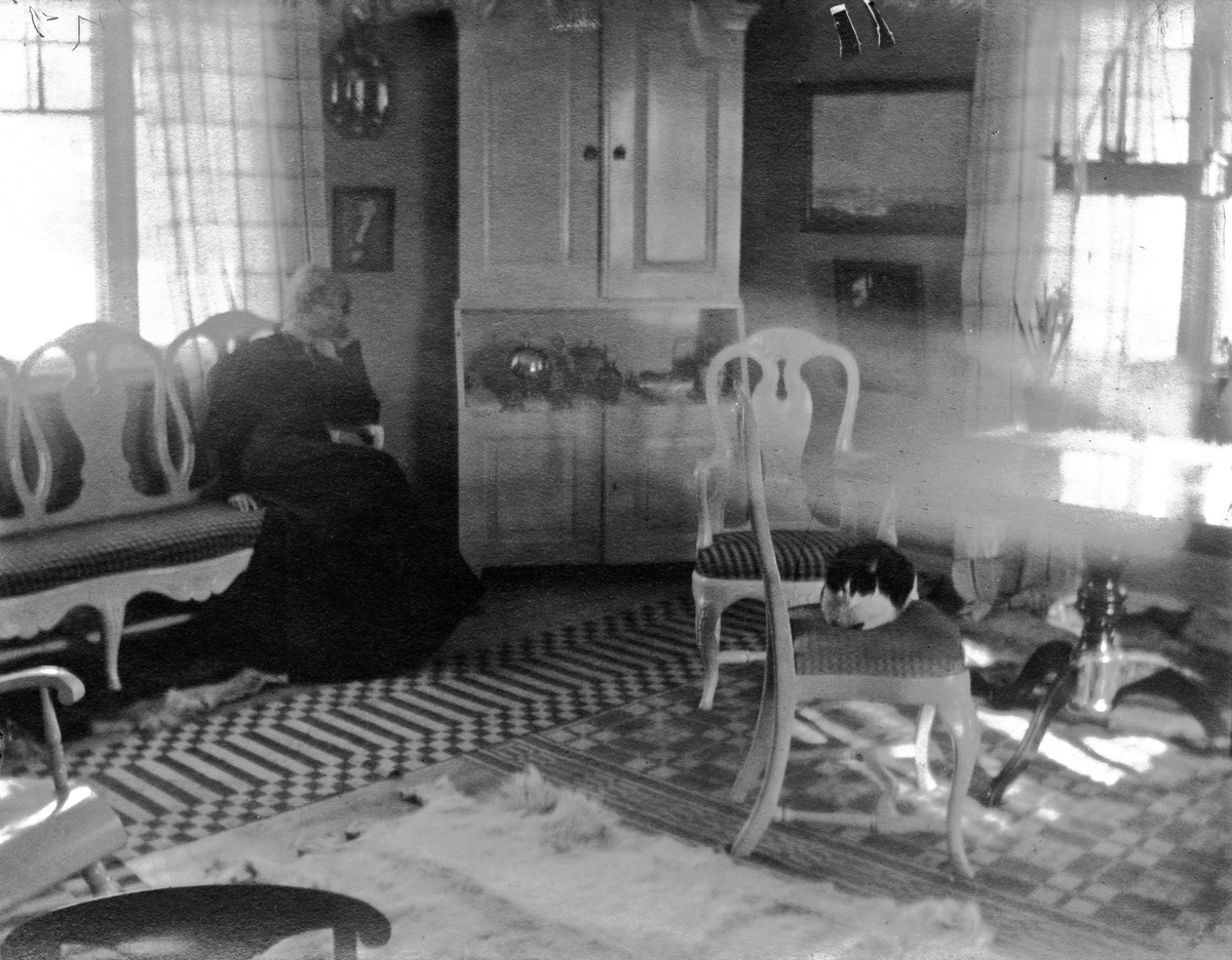 Ester Ellqvist-Bauer sitter på soffan vid fönstret i stugan de hyrde i Torstorp utanför Gränna. Katten har lagt sig tillrätta på en stol vid bordet.