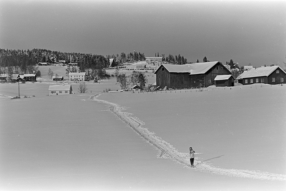 Presterud gard, Præsterud, skiløype opp til Hedmarkstoppen, vinter, Hamar.