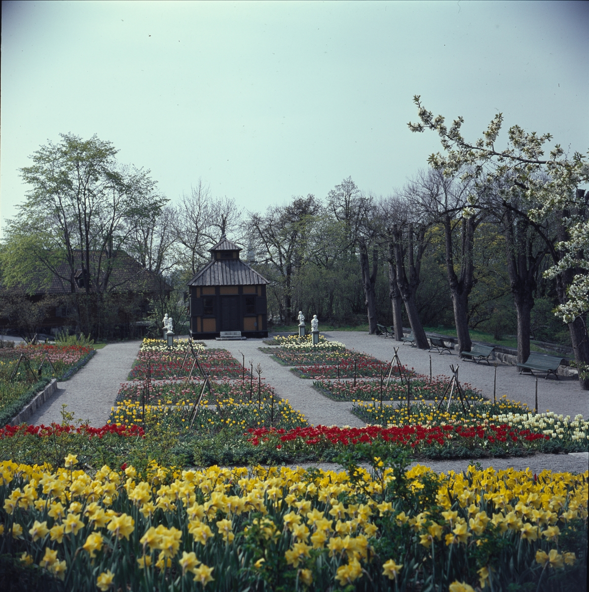Blommande vårblommor i Rosenträdgårdens välskötta rabatter. I bakgrunden begrundar Swedenborgs lusthus fyra figurer som dansar i den färgrika blomsterprakten.