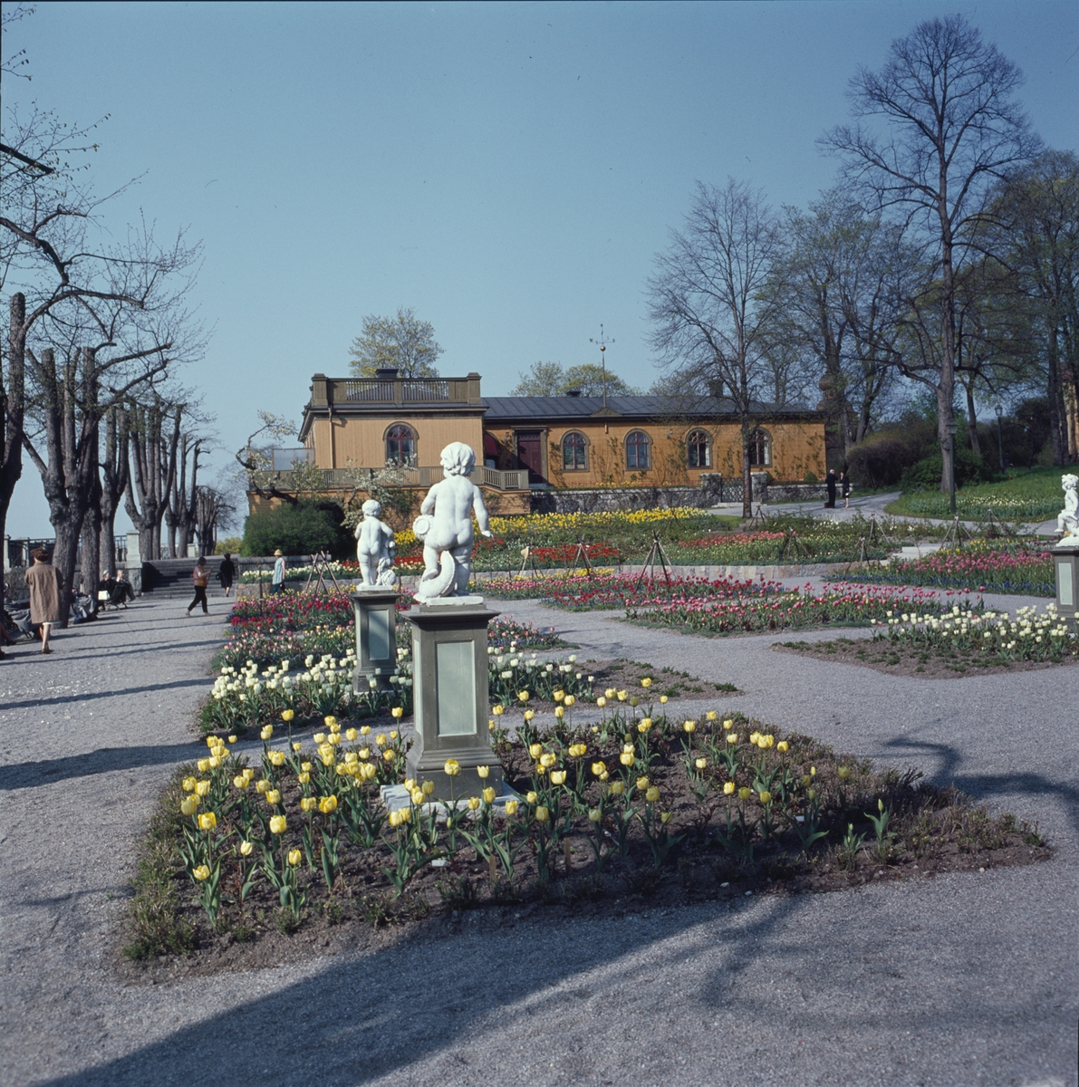 Blommande vårblommor i Rosenträdgårdens välskötta rabatter. I bakgrunden syns Sagaliden och i förgrunden ett par figurer placerade i rabatterna.