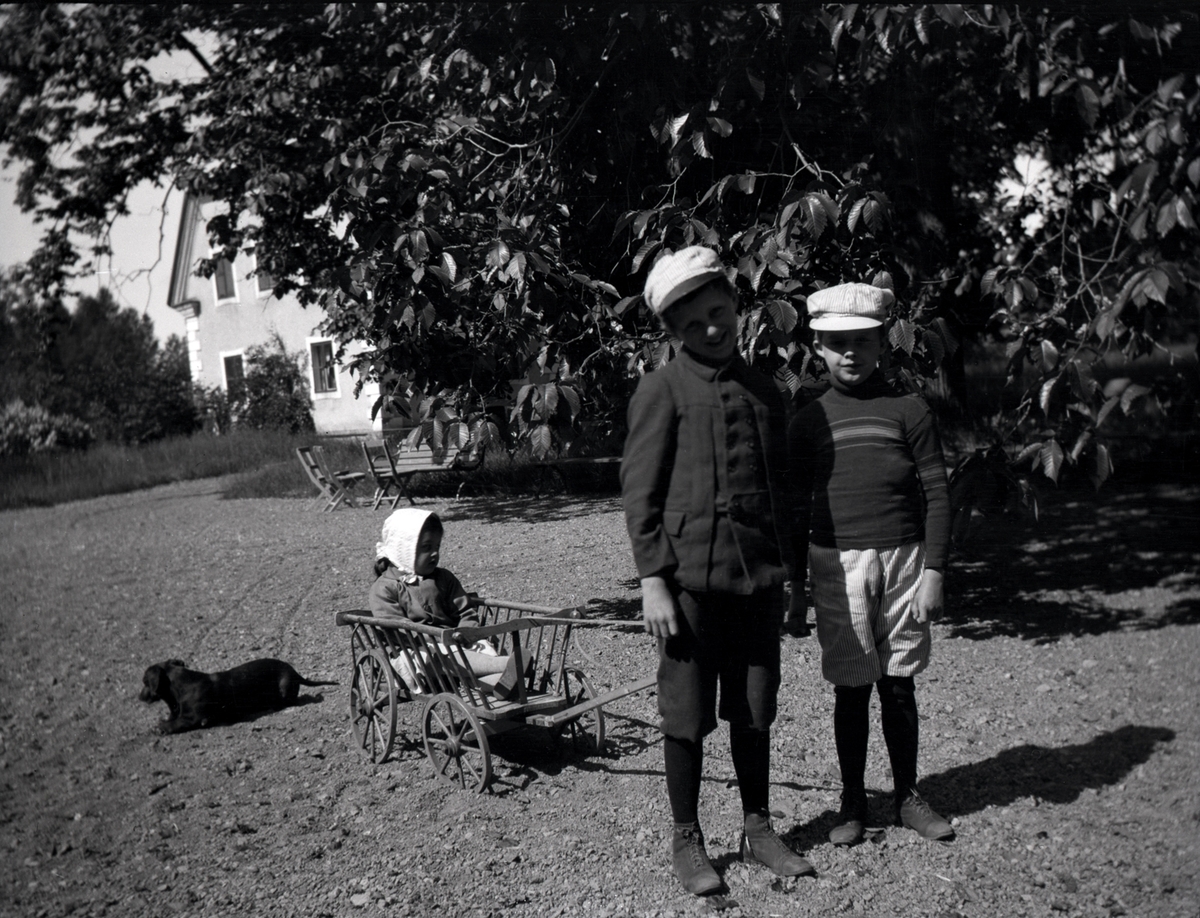 Ika, Carl Henrik och eventuellt Hugo som leker med en liten vagn på Tuna gård. En hund gör dem sällskap.