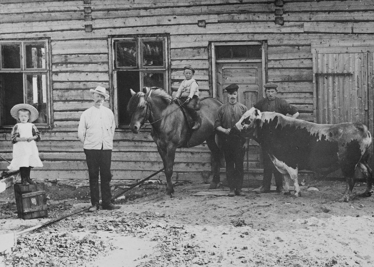 Folk og dyr utafor Aspaas´ slakteri på Røros, ant. ca. 1911-12