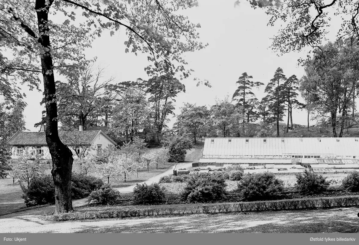 Borregård hovedgård i Sarpsborg, 1931. Parken med drivhus og gartnerbolig (?) I dag revet.