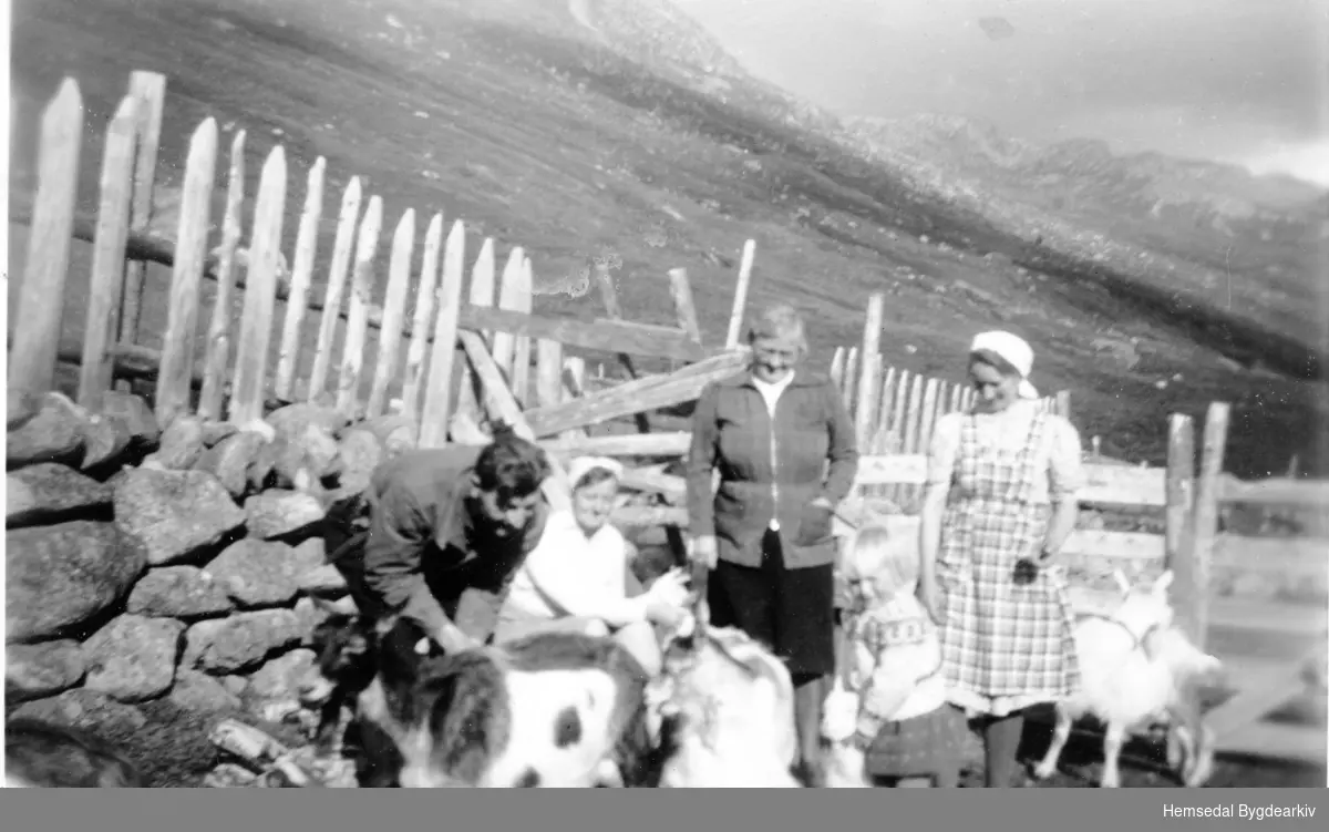 Liastølane i Hemsedal i 1943.
Frå venstre: Hans Hansen, Magda Hansen og Dagny Liverud, alle frå Drammen. Deretter: Berit Marie Flaten og mora, Kari J. Flaten.
