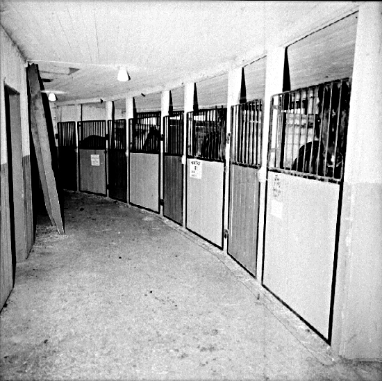 Skara. 
Kvarteret Oxen.
Ridhuset, ryttargången från Ridhuset mot stallet. 
Boxarna t.h. uppförda omkring 1970.
