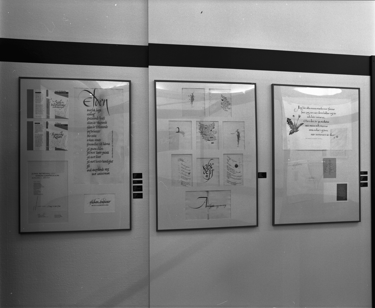 Föreningen Svenska Tecknare firar 40 årsjubileum med en utställning "Grafisk Form" på Tekniska Museet den 18 oktober 1995 - 7 januari 1996. Kallografi.