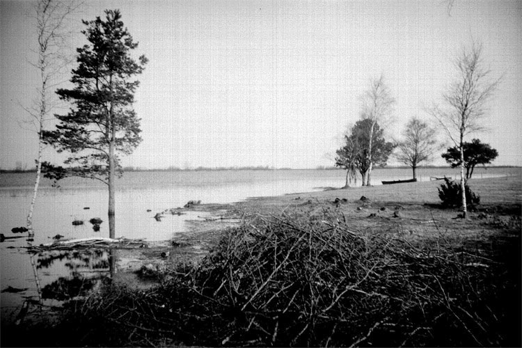 Vy från Hornborgasjön 1945.