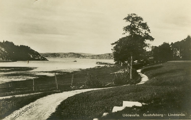 Enligt Bengt Lundins noteringar: "Uddevalla. Gustafsberg-Lindesnäs".