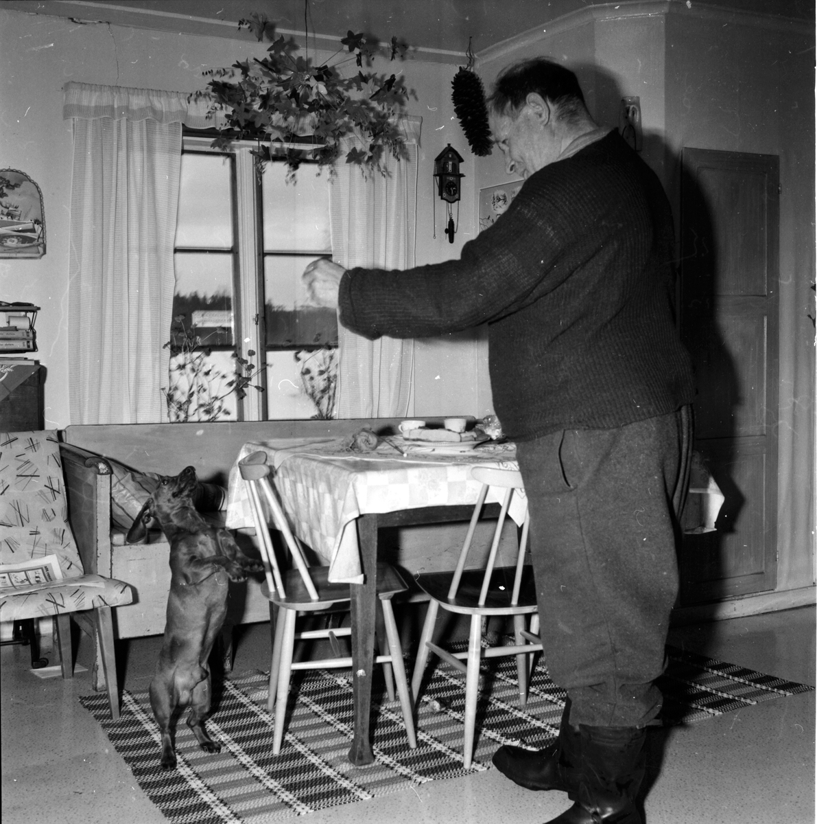 Flätsbo, Erik Blom med taxen Silla, den 7 januari 1965.