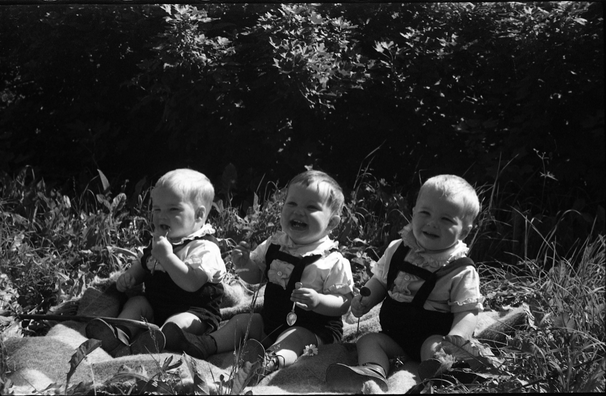 Portrett av tre små barn. Serie på sju bilder der plasseringen er litt forskjellig. Den med mørkest hår er Terje Balke fra Balke Vestre, de to andre tvillingene Knut og Jan Ørud fra Ørud.