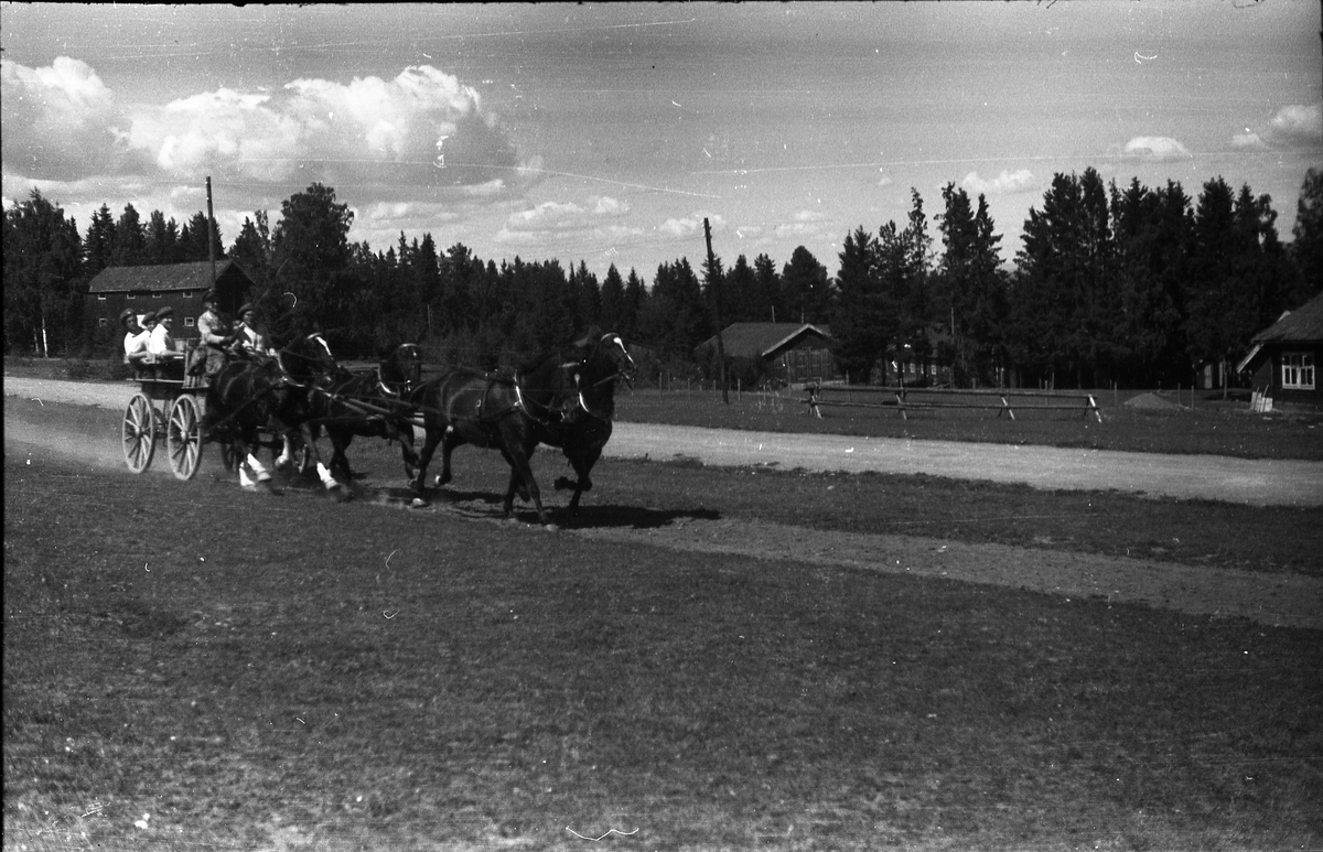 Kjøring med firspann på Starum juli 1949. Sju bilder. Ingen av personene er identifisert.