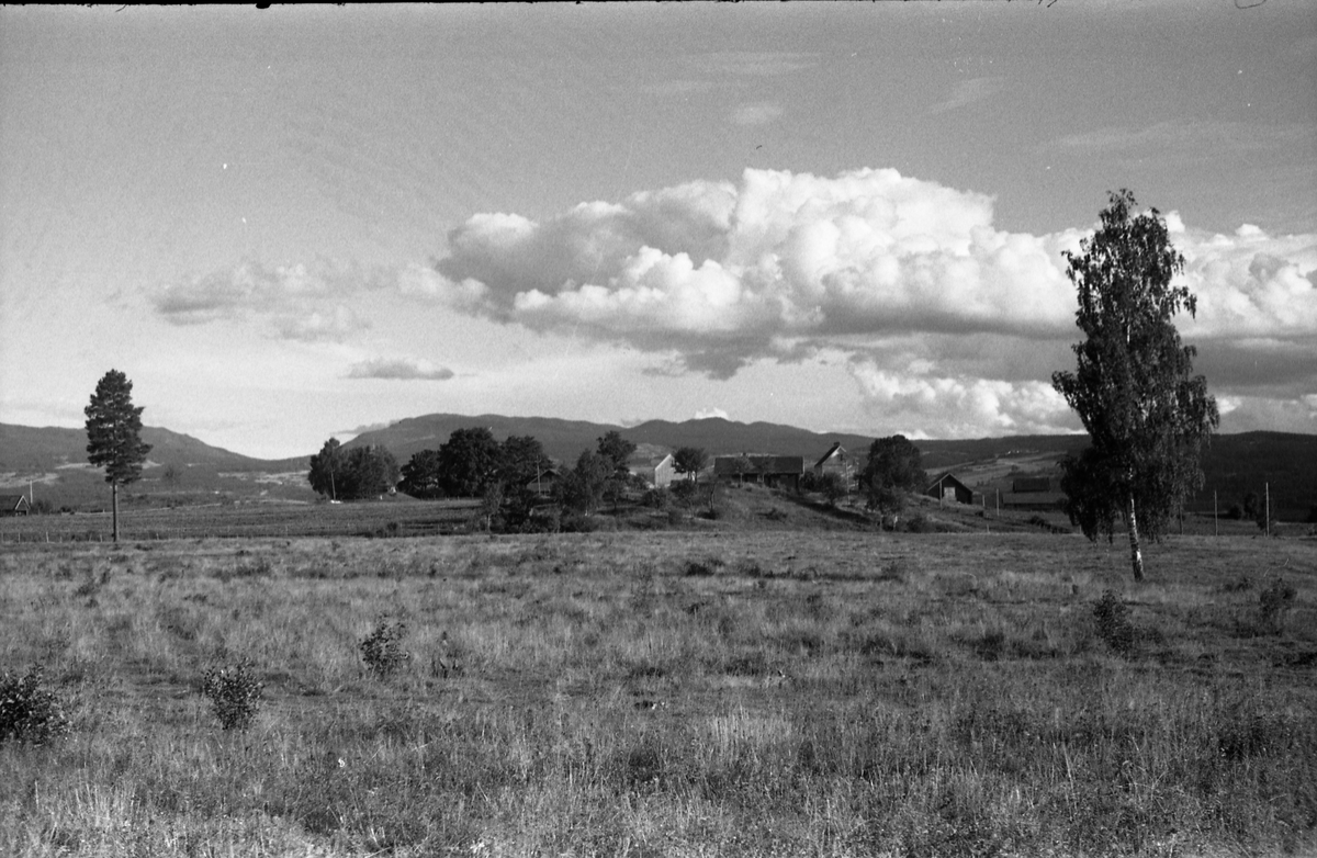 Landskap nordfra mot gården Gile, Østre Toten. Fem bilder.