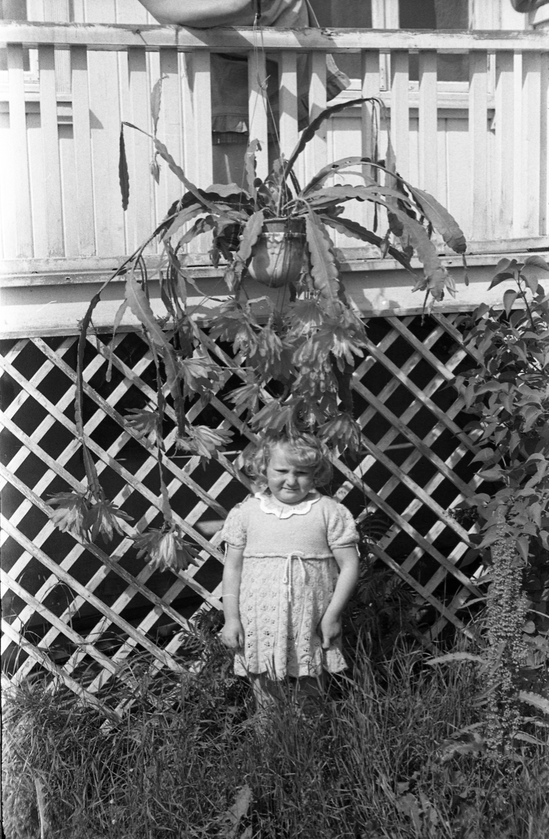 Planter og en uidentifisert jentunge. Tre bilder.