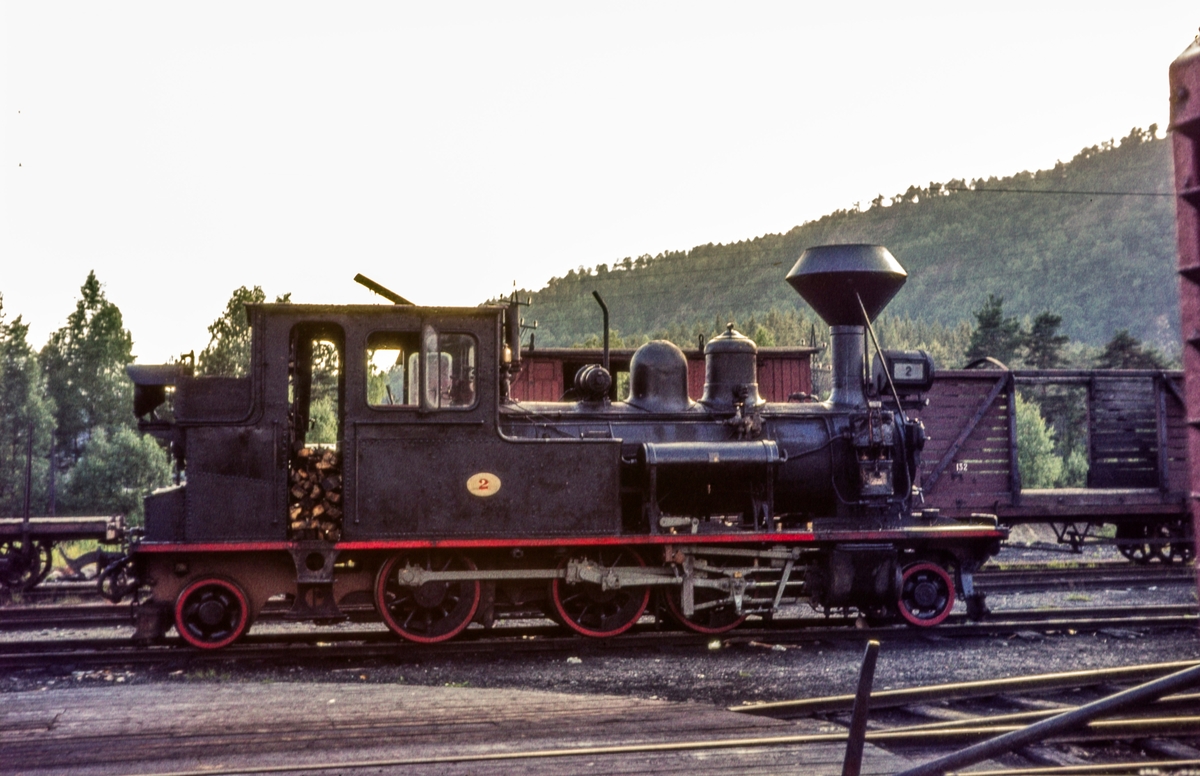 Setesdalsbanens damplokomotiv nr. 2 på driftsbanegården på Grovane.
