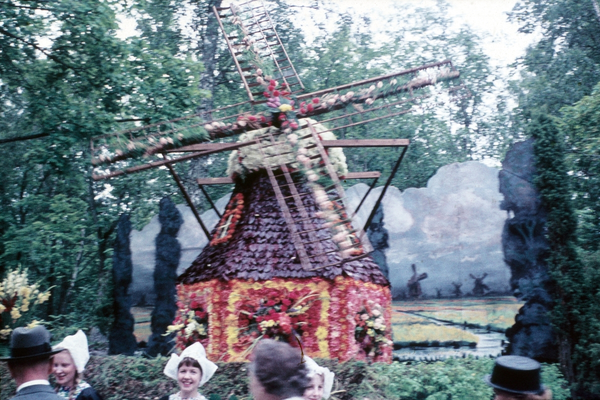 Blommornas Dag i Furuviksparken. Tema Holland, 1961.