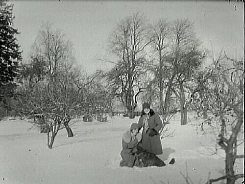 Snöbild. Två kvinnor med en hund i en snöig trädgård med fruktträd och i bakgrunden bikupor (se även E5379).