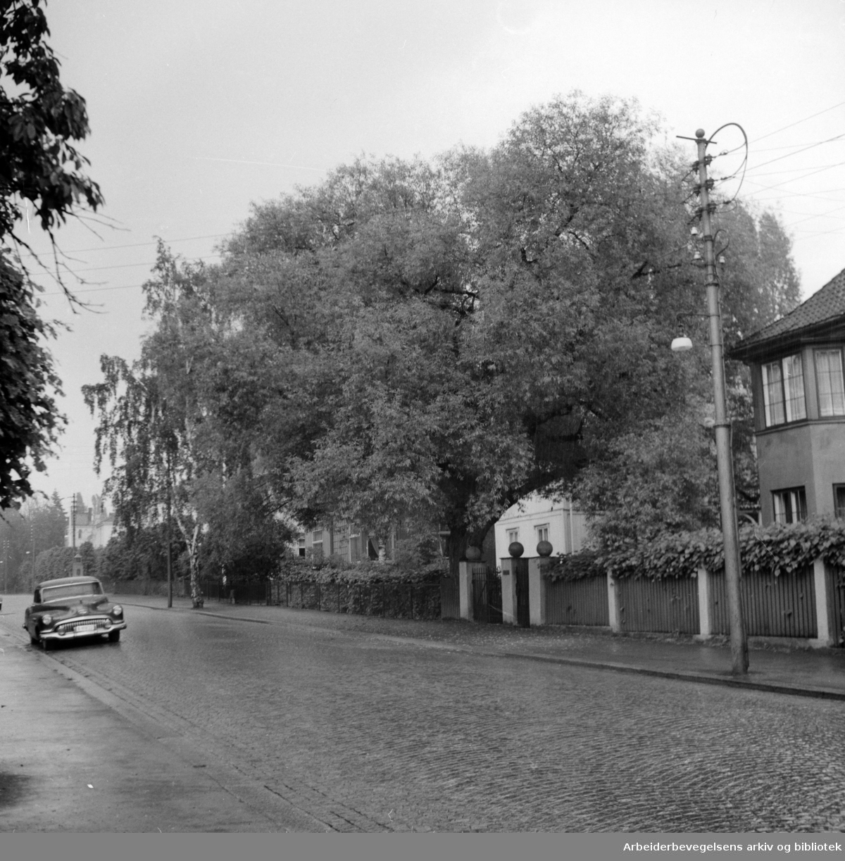 Tidemands gate 11. Juni 1955