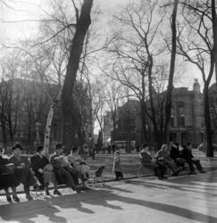Studenterlunden. Mars 1955