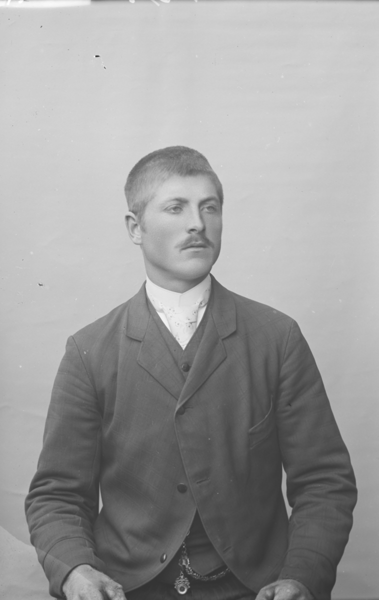 Portrett, mann, brystbilde, N.F. Hansen