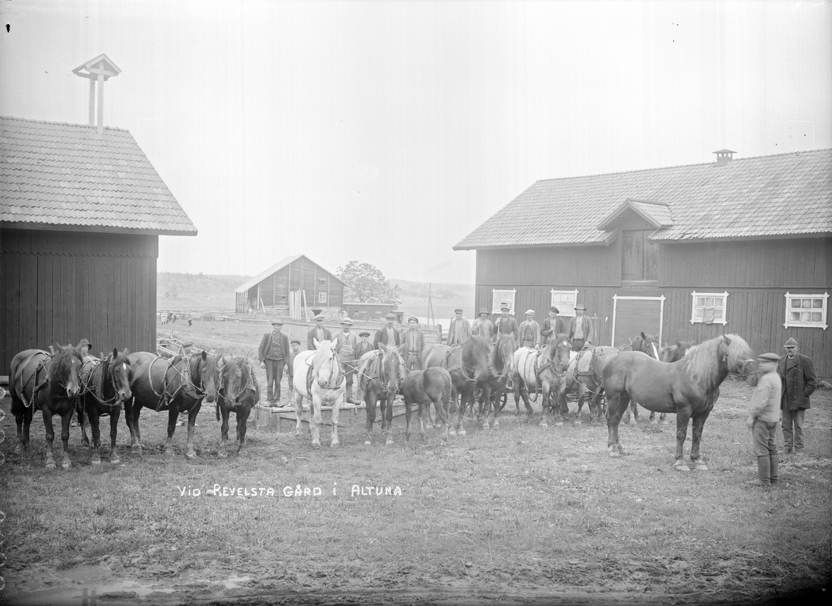 "Arbetspersonalen med hästar vid Revelsta gård i Altuna", Uppland 1918