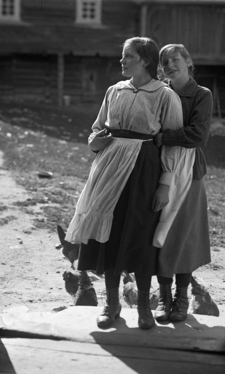 Nordigard Storvik, to unge kvinner med høneflokken