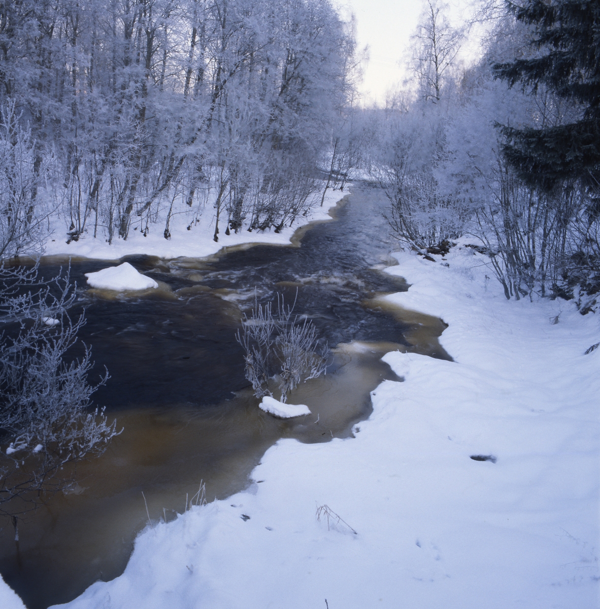 Vinter vid skogsälven Voxnan, Söräng 16 januari 2001. Vattnet ligger öppet men kantas av snö och is.