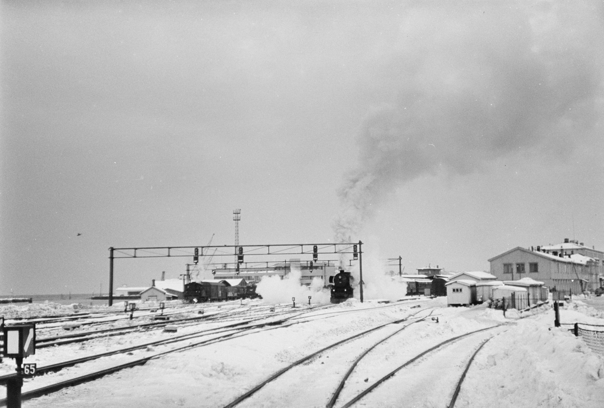 Persontog på Trondheim stasjon. Toget trekkes av damplokomotiv type 63a nr. 1101. Dette kan være ekstratog til Røros i forbindelse med Rørosmartnan, som ble avviklet fra 15. februar.