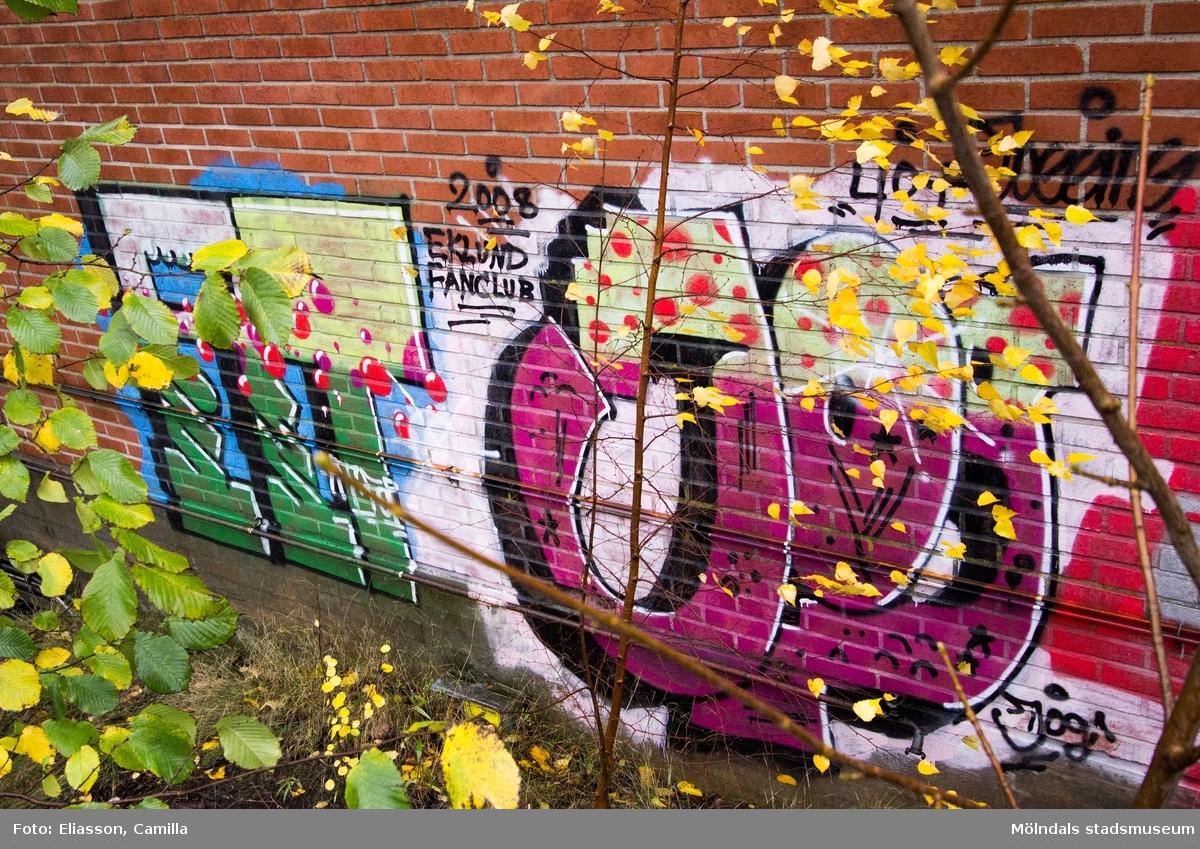 Graffiti på pappersbruket Papyrus fabriksområde i Forsåker, Mölndal, den 4/11 2014. Fotodokumentationen gjordes under perioden mellan pappersbrukets avveckling och områdets nyexploatering. Området var under denna tid populärt bland ungdomar som ville uttrycka sig konstnärligt med graffiti.