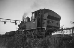 Damplokomotiv type 25a nr. 223 i skiftetjeneste på Trondheim