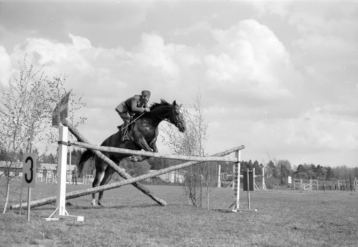 Hästhoppning. I 14. Den 17 maj 1953