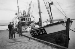 Barden M.18.SA.."1958"."Fiskevegnkaia 1958".Fra venstre: Bja