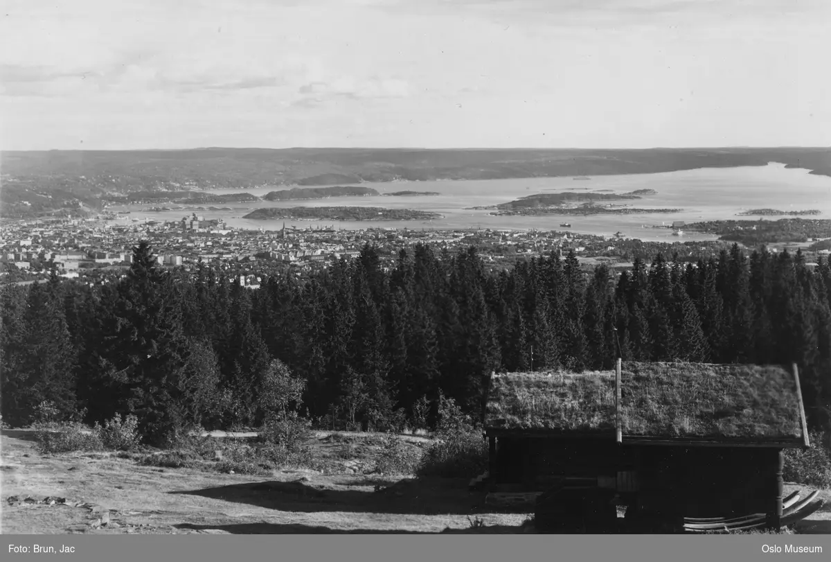 utsikt, tømmerstuer, skog, by, fjord