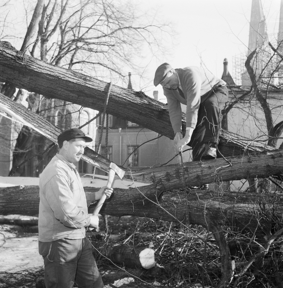 Smålands nation, träd på gården tages bort, Uppsala, april 1953