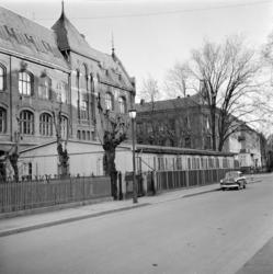 Halling skole. Mai 1958