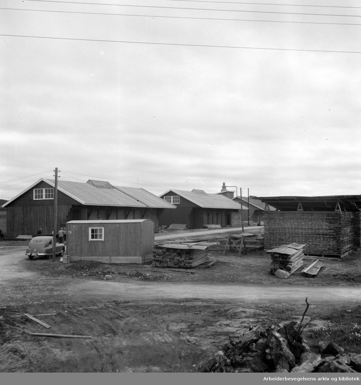 Haraldrud skogbruk. Haraldrud bruk. Oktober 1952