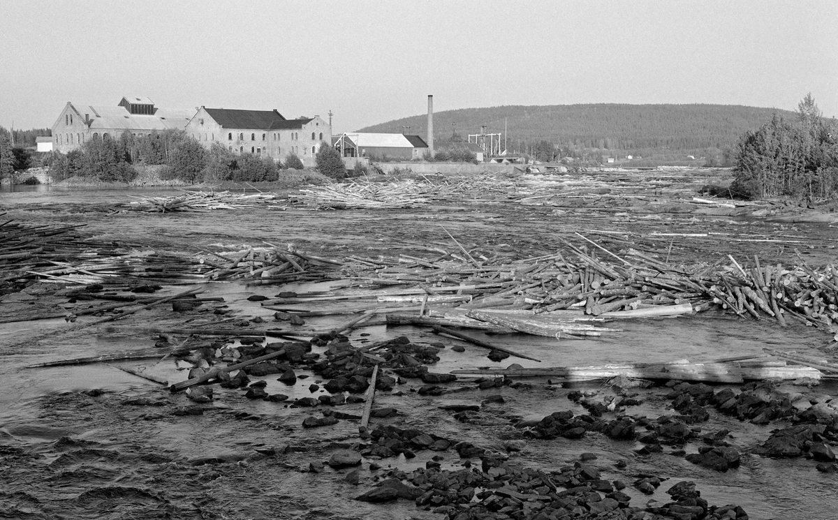 Sammenvaset fløtingstømmer i Glomma på ettersommeren i 1959.  Dette var en tørkesommer, noe som bidro til at vannføringa i elva etter hvert ble uvanlig lav, slik at tømmeret strandet på grusører og bergflater i elveløpet, slik at det bygde seg opp digre tømmerhauger.  Sentralt i bildet ser vi produksjonsanlegget ved Funnefoss tresliperi, som ble etablert i 1874-75 av Anders Olai Haneborg.  Nærheten til fossen, som ghav energi, vassdraget, som var transportåre for tømmer, og jernbanen, som brakte det ferdige produktet til markedet, var de sentrale lokaliseringsfaktorene.  Haneborg startet med to hoprisontale slipeapparater, og utvidet med ytterligere ett i slutten av 1880-åra.  I 1918, i forkant av den store krisa som rammet trelast- og papirbransjen etter 1. verdenskrig, gikk Haneborg konkurs.  Sør-Odal kommune overtok fabrikken og skogene fra konkursboet, først og fremst fordi kommunene var interessert i å sikre seg fallrettighetene i Glomma.  Fabrikken ble utleid til et firma, som ville fortsette tremassefabrikasjonen.  Alt i 1919 brant imidlertid mye av anlegget ned til grunnen.  Fabrikken ble gjenreist under navnet A/S Nye Funnefoss Træsliberi, med produksjon i de teglsteinsbygningene vi ser på dette fotografiet.  Bedriften var i virksomhet fram til 1966, sju år etter at dette fotografiet ble tatt.