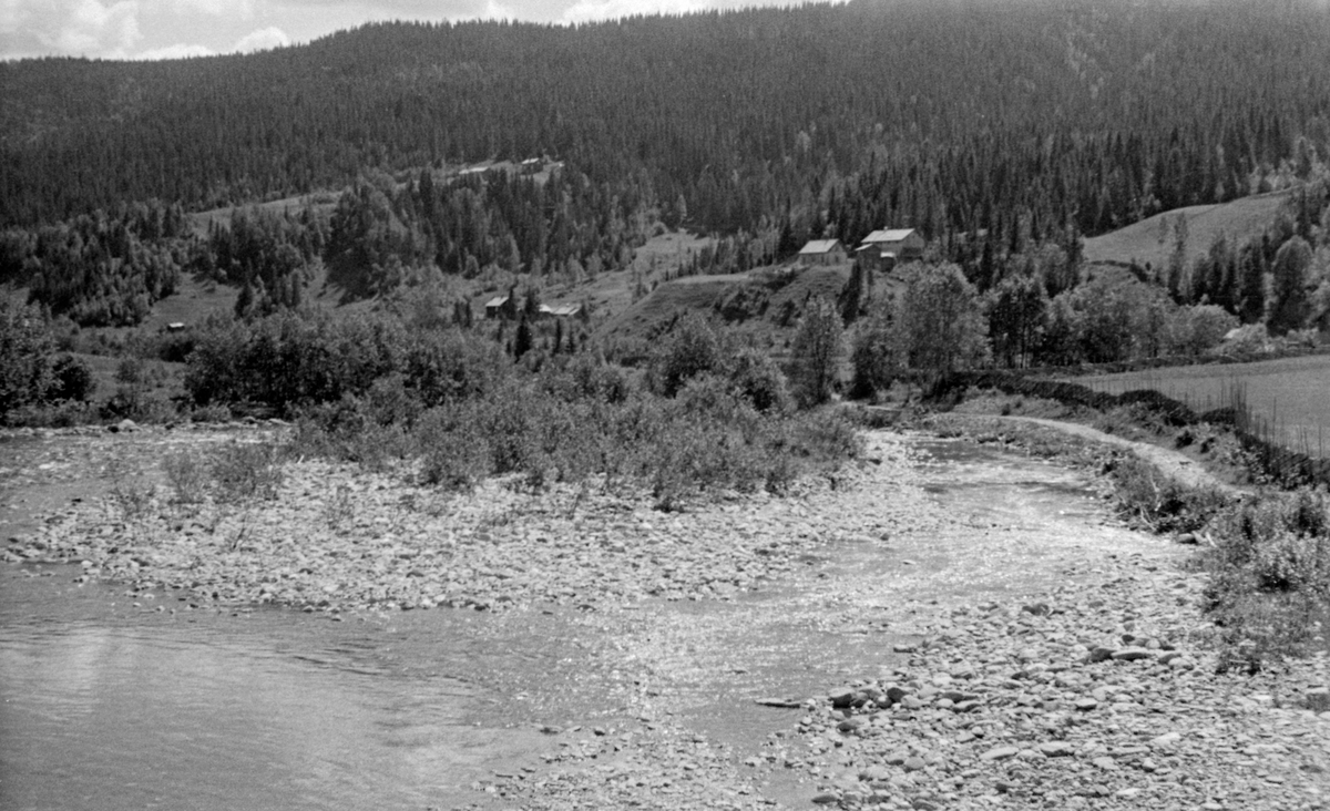 Landskapsbilde fra området ved elva Jøra i Vestre Gausdal, ei av tilløpselvene i Gausavassdraget.  Denne lokaliteten ligger i den søndre delen av den grenda som kalles Bødal.  Fotografiet skal være tatt i 1952, fra den gamle Bjørkhågåbrua, eller «Bjerkhage bro», som det står på eldre kart.  I forgrunnen ser vi elveløpet med ei tørrlagt steinør, der det vokste lauvkratt.  På vestsida av elva var det vollarealer.  På en bakkekam litt til høyre for bildets sentrum ser vi småbruket Vollbakken.  Nedenfor (til venstre) ser vi bruket Svea og litt høyere oppe i skogen skimter vi husene og noe av jordvegen på Ropphaugen.  Stein- og grusører som den vi ser i forgrunnen på dette fotografiet arbeidet Glomma fellesfløtingsforening i 1950-åra for fjerne med bulldosere, for å redeusere faren for at fløtingsvirket skulle binde seg i hauger som det ville bli arbeids- og kostnadskrevende å løsne.  Området i bakgrunnen på dette fotografiet ble hardt rammet da Roppdammen på Reinsåsen brast 17. mai 1975.  At folk på brukene i bakgrunnen deltok i 17. maiarrangementer, og dermed borte da vannmassene kom, reddet trolig menneskeliv.  Men denne ulykka skjedde altså 23 år etter at dette fotografiet ble tatt.