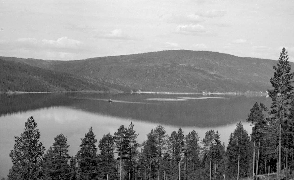Tømmerslep på Storsjøen i Ytre Rendalen i Hedmark sommeren 1953.  Fotografiet er tatt fra ei li på denne innsjøens østre bredd, fra ei furuli ned mot et stort, blankt vannspeil.  På dette vannspeilet ser vi slepebåten D/S Storsjø, som bukserte tre tømmerbommer fra Åsheim ved nordenden av sjøen sørover mot utløpet ved Løset.  Slepestrekningen var om lag 35 kilometer lang.   I 1953 ble det innmeldt 379 919 tømmerstokker til fløting i vassdragene ovenfor Storsjøen og 383 212 stokker ble levert langs strendene på denne innsjøen.

Direksjonen i Glomma Fellesfløtingsforening vedtok å investere i en dampbåt som skulle trekke tømmer i bommer over denne sjøen i 1911.  Båten var ferdig og ble satt i drift allerede påfølgende sesong.  D/S Storsjø ble brukt til å trekke tømmerbommer over Storsjøen inntil tømmerfløtinga i Glommavassdraget ble avviklet i midten av 1980-åra.