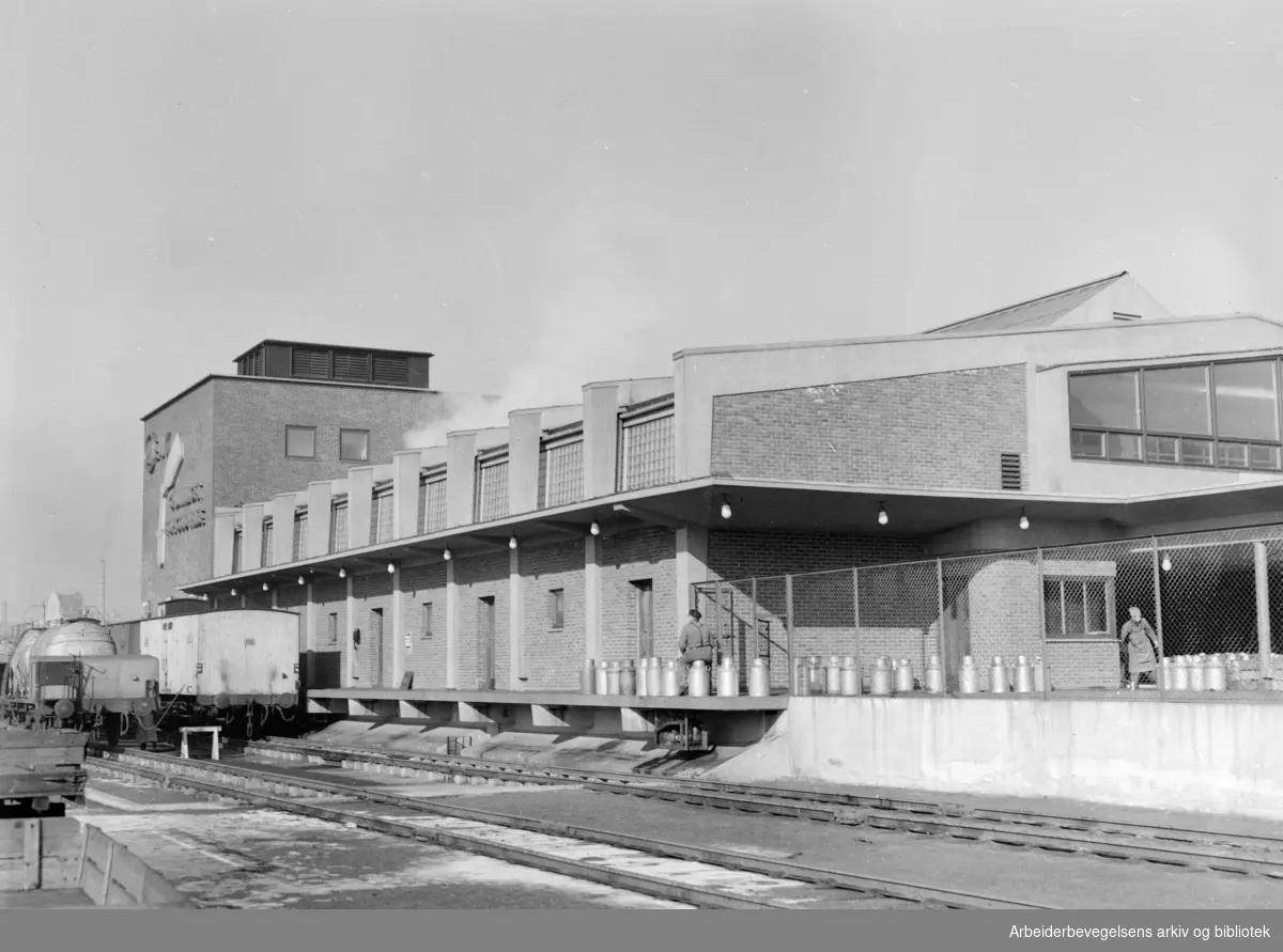 Fellesmeieriet. Motakerstasjonen. Mars 1953