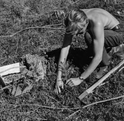 Skogplanting i Elverum i 1968.  Fotografiet viser en ung man