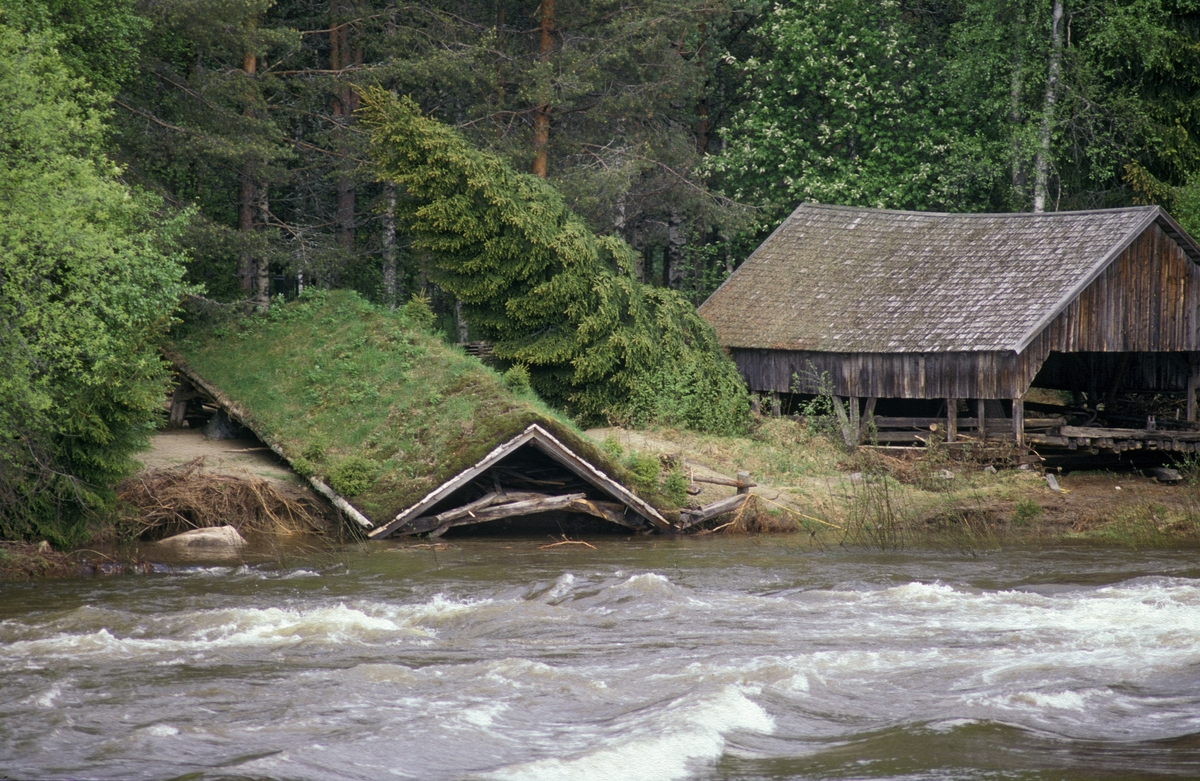 Naustet fra Vassenden i Jølster (SJF-B. 0024) og spillflåtenaustet frå (SJF-B. 0025) i Norsk Skogmuseums friluftsmuseum på Prestøya i Glomma, fotografert under storflommen i Glomma i 1995.  Fotografiet er tatt på et tidspunkt da flommen var på retur.  Spillflåtenaustet til høyre hadde en åpen konstruksjon, slik at vannmassene strømmet gjennom det.  For å redde jølsternaustet (til venstre) ble ytterkledningen på den stavbygde konstruksjon fjernet, slik at vannet ikke skulle rive med seg huset.  Det strømmende vannet grov imidlertid bort fundamentene under bygningen i cirka en meters dybde, slik at den «knelte».  Det tunge torvtaket forhindret imidlertid at konstruksjonene forsvant med strømmen.  Etter at vannstanden sank til normalt nivå igjen ble naustet demontert.  Deretter ble det påfylt ny masse og støpt nye betongfundamenter, før huset ble gjenoppført med en del nye komponenter.  Storflommen i Glomma kulminerte 2. juni 1995.  Ved flomsteinen på Norsk Skogmuseum oversteg vannivået da alle flommerker fra tida etter 1665, unntatt merket fra «storofsen» i 1789, som skal ha gått 69 høyere.  1995-flommen ble derfor kalt «vesleofsen». 