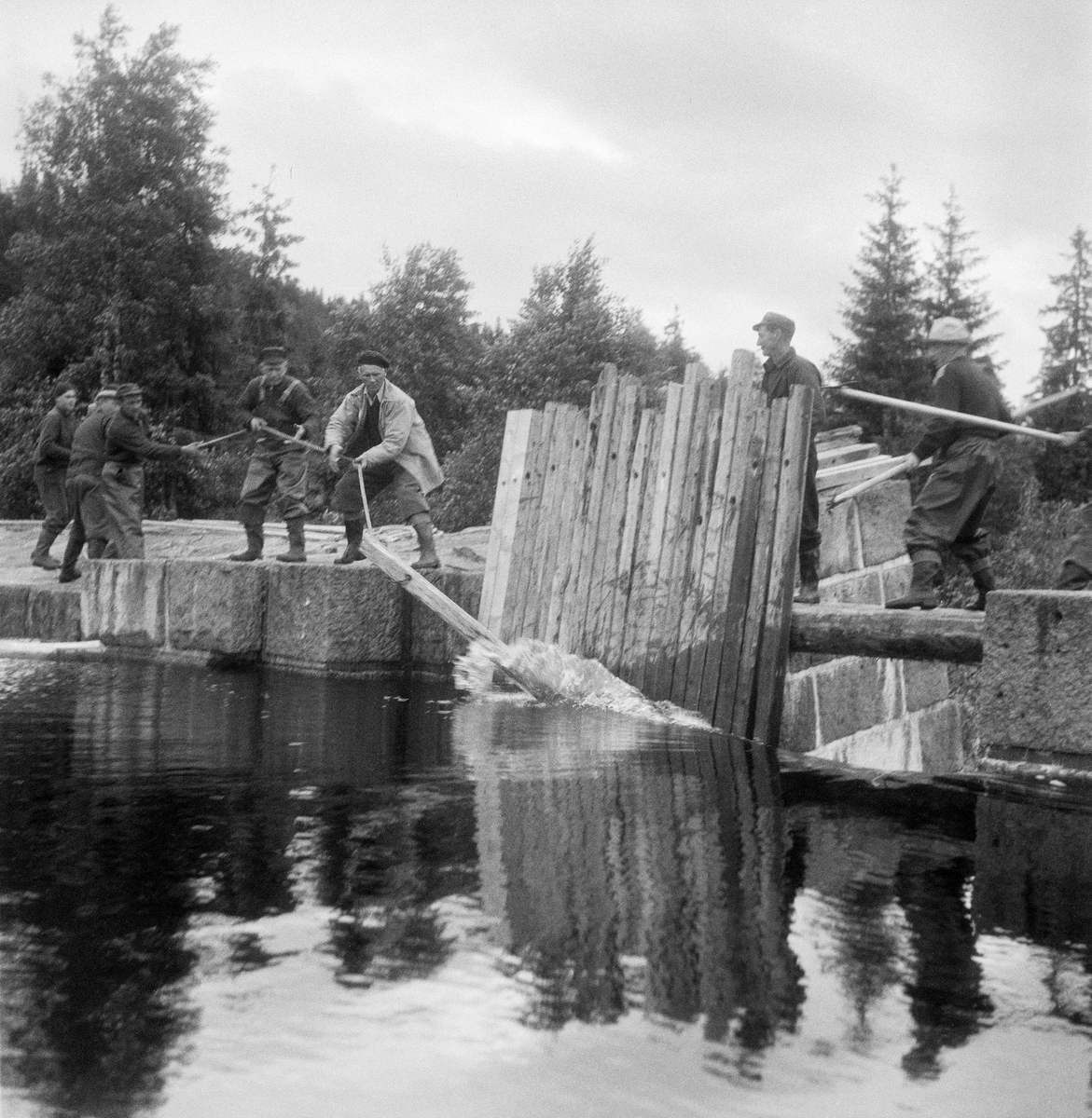 Spretting av «nålene» som stengte Øyungsdammen i Nordmarka i Oslo kommune i 1956.  Fotografiet er tatt fra damsida.  Dammen var murt av kvadret naturstein med sementfuger.  Da dette bildet ble tatt sto fem karer på damarmen til venstre og dro ei av «nålene» (damplankene) fra damåpningen til sides, ved hjelp av et tau som var tredd gjennom et hull i den øvre enden av nåla.  Et par karer sto på ei smal dambru bakenfor de gjenstående nålene.  Denne damtypen – nåledammen – hadde altså stengsler som besto av planker, som når dammen skulle «settes» ble stukket motstrøms slik at de ble presset mot en terskel i botnen av damløpet og mot overkanten av dambrua.  Når disse ble stående tett i tett dannet de en vegg som gjorde det mulig å magasinere mye vann i det ovenforliggende bassenget.  Når dammen seinere skille «sprettes», brukte damkarene, som dette fotografiet viser, et tau med en pinne eller jerntein i den ene enden til å trekke vekk den ene nåla etter den andre.  

Fløting. Tømmerfløtere.