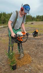Bjørn Hageberg fra Det norske skogfrøverk betjener et jordbo