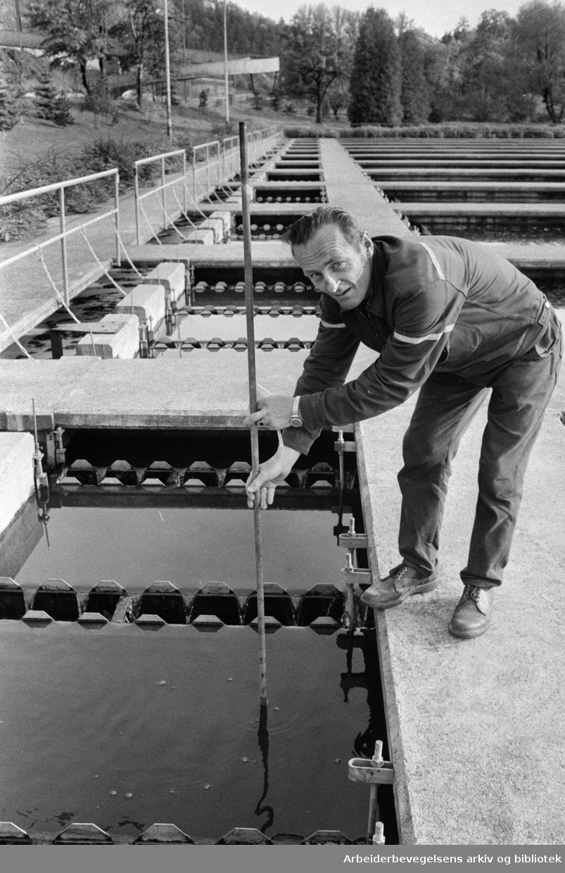 Bekkelaget. Kjell Moen måler sikten i det vannet som har passert Bekkelagets renseanlegg. Oktober 1971.