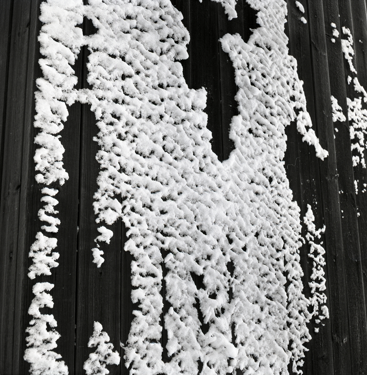 Snömönster på trävägg, 18 december 1955.